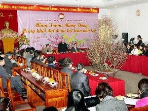 Kiều bào rất quan tâm đến Dự thảo sửa đổi Hiến pháp 1992 - ảnh 1